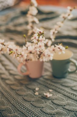 fincan çay bahar çiçek kiraz çiçek yün ekose arka plan ile. Vintage tarzı