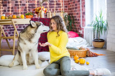 Stüdyoda sarı kıvırcık saçlı tatlı bir genç kız. Sonbahar süslemeleri, balkabakları ve sarı yaprakları ve büyük bir köpekleri var. İnsanlar ve Köpekler. Sonbahar havası