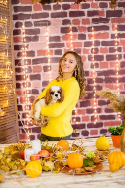 Stüdyoda sarı kıvırcık saçlı, tatlı bir genç kız. Sonbahar süsleri, balkabakları ve küçük bir köpekle sarı yaprakları var. İnsanlar ve Köpekler. Sonbahar havası