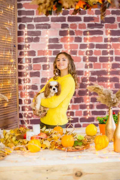 Cute Teenage Girl Blond Curly Hair Studio Autumnal Decorations Pumpkins — Stock Photo, Image