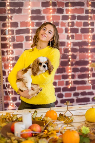 小さな犬とカボチャと黄色の葉で秋の装飾を持つスタジオで金髪の巻き毛を持つかわいい十代の女の子 人と犬 秋の気分 — ストック写真