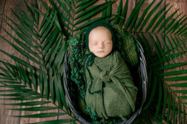 Küçük şirin bebek yeşil palmiye yaprakları ve yeşil örgü şapkayla süslenmiş bir sepet sarmaşığın içinde uyuyor. Mutlu çocukluk