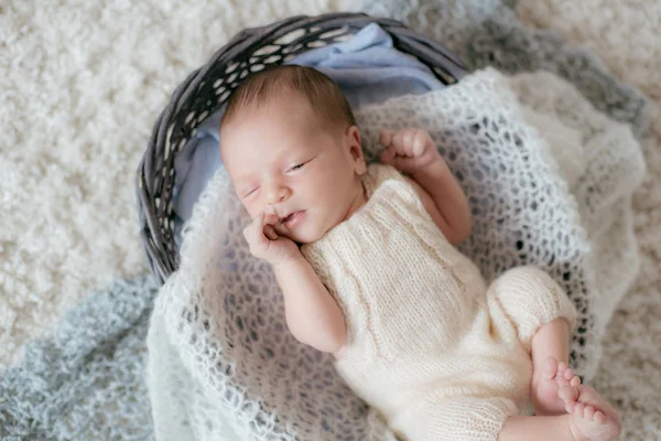 Carino Piccolo Bambino Trova Casa Tappeto Bianco Soffice Cesto Vimini — Foto Stock