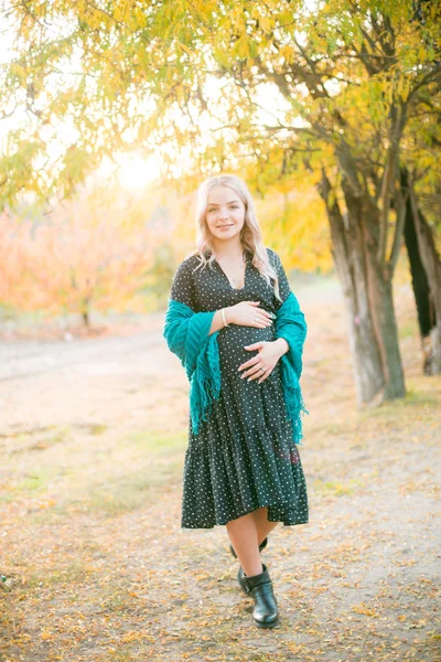 Sonbahar Parkında Günbatımında Sarışın Tatlı Hamile Bir Kadın Yürüyor Mutlu — Stok fotoğraf