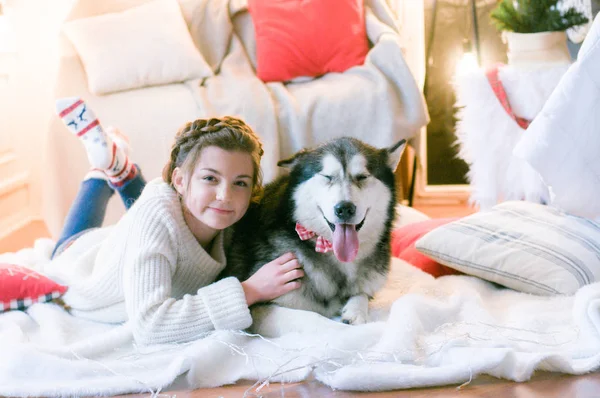 白いニットのセーターを着たかわいい10代の女の子は クリスマスのために装飾された部屋で犬のMalamuteと遊ぶ クリスマス気分 明けましておめでとうございます 犬と人間 — ストック写真