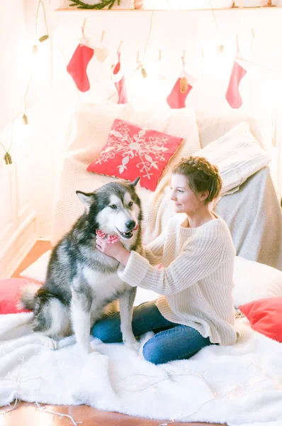 Carina Ragazza Adolescente Maglione Maglia Bianca Gioca Con Cane Malamute — Foto Stock