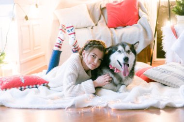 Beyaz örgü kazaklı tatlı genç kız Noel için dekore edilmiş bir odada bir köpekle oynuyor. Noel havası. - Mutlu yıllar. Köpekler ve insanlar