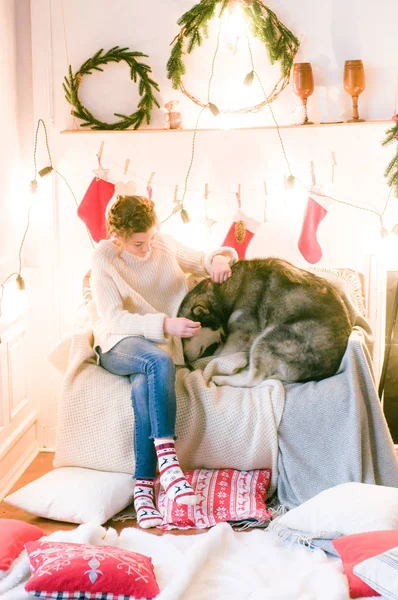 Roztomilé Dospívající Dívka Bílém Pleteném Svetru Hraje Psem Malamute Místnosti — Stock fotografie