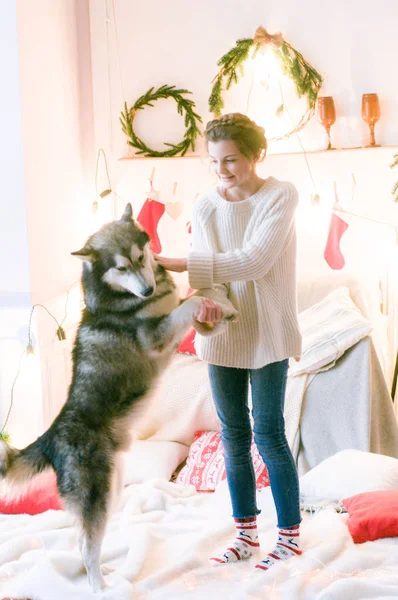 Söt Tonårstjej Vit Stickad Tröja Leker Med Hund Malamute Ett — Stockfoto