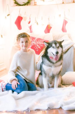 Beyaz örgü kazaklı tatlı genç kız Noel için dekore edilmiş bir odada bir köpekle oynuyor. Noel havası. - Mutlu yıllar. Köpekler ve insanlar