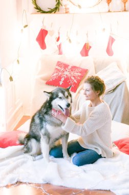 Beyaz örgü kazaklı tatlı genç kız Noel için dekore edilmiş bir odada bir köpekle oynuyor. Noel havası. - Mutlu yıllar. Köpekler ve insanlar