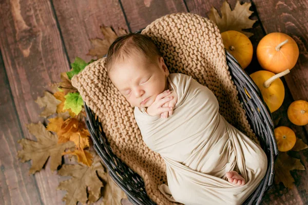 Lindo Bebé Durmiendo Una Cesta Mimbre Ramitas Con Hojas Amarillas — Foto de Stock