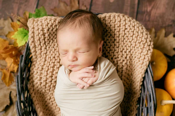 Mignon Petit Bébé Dormant Dans Panier Brindilles Osier Avec Des — Photo