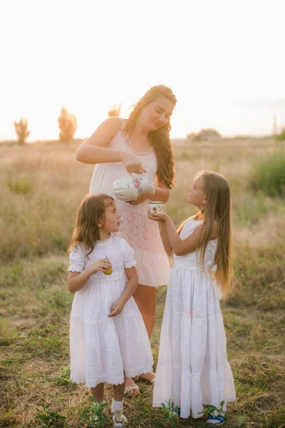 Eine Schöne Junge Schwangere Mutter Mit Blonden Haaren Und Zwei — Stockfoto