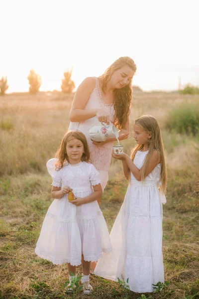 Eine Schöne Junge Schwangere Mutter Mit Blonden Haaren Und Zwei — Stockfoto