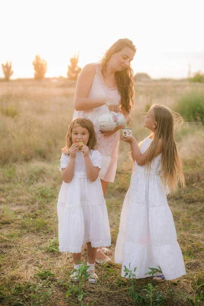 Eine Schöne Junge Schwangere Mutter Mit Blonden Haaren Und Zwei — Stockfoto