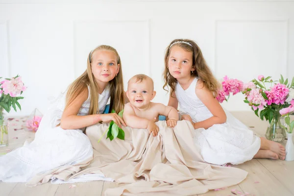 Beyaz Elbiseli Şirin Küçük Kız Kardeşler Pembe Beyaz Şakayıklarla Süslenmiş — Stok fotoğraf
