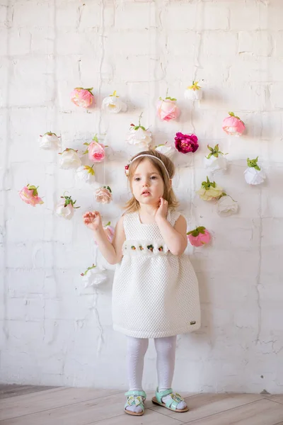 Little Cute Girl Beautiful White Dress Spring Light Studio Decorated — Stock Photo, Image