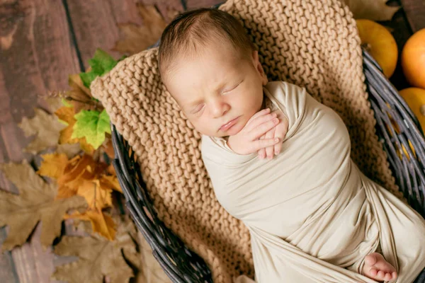 Schattige Kleine Baby Slapend Een Rieten Mand Met Takjes Met — Stockfoto