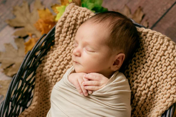 Cute Little Baby Śpi Wiklinowym Koszu Gałązek Żółtymi Liśćmi Małymi — Zdjęcie stockowe