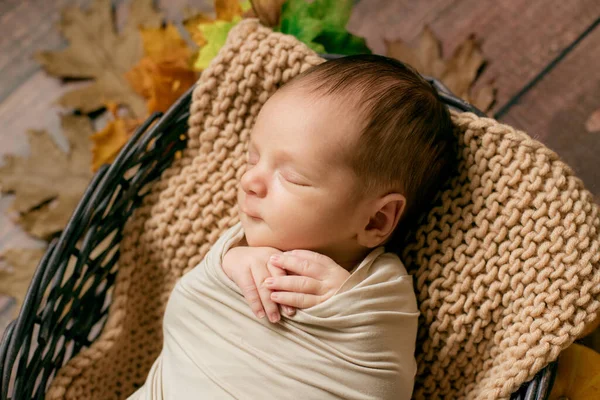 Schattige Kleine Baby Slapend Een Rieten Mand Met Takjes Met — Stockfoto
