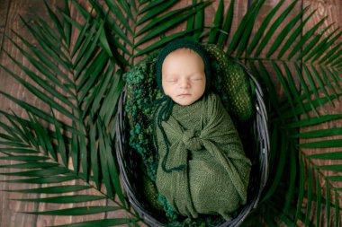 Küçük şirin bebek yeşil palmiye yaprakları ve yeşil örgü şapkayla süslenmiş bir sepet sarmaşığın içinde uyuyor. Mutlu çocukluk