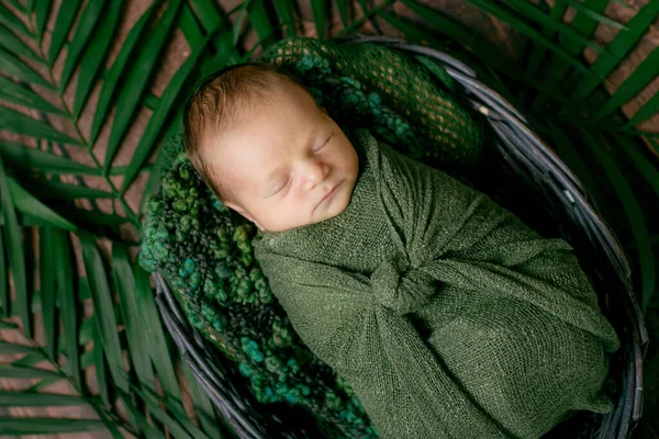 Μικρό Χαριτωμένο Μωρό Κοιμάται Ένα Ψάθινο Καλάθι Αμπέλια Διακοσμημένα Πράσινα — Φωτογραφία Αρχείου