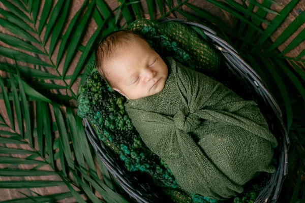 Kleine Schattige Baby Slaapt Een Rieten Mand Van Wijnstokken Versierd — Stockfoto