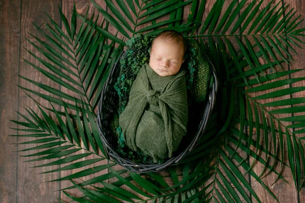 Piccolo Bambino Carino Dorme Cesto Vimini Viti Decorate Con Foglie — Foto Stock