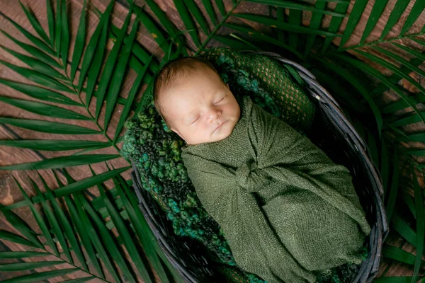 Μικρό Χαριτωμένο Μωρό Κοιμάται Ένα Ψάθινο Καλάθι Αμπέλια Διακοσμημένα Πράσινα — Φωτογραφία Αρχείου