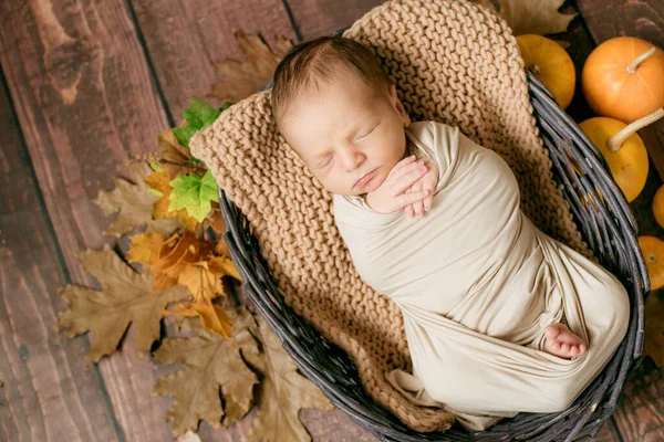 Γλυκό Μωράκι Που Κοιμάται Ένα Ψάθινο Καλάθι Κλαδιά Κίτρινα Φύλλα — Φωτογραφία Αρχείου