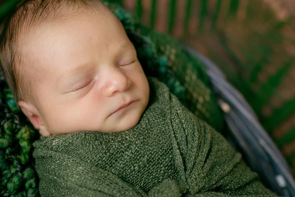 Pequeno Bebê Bonito Dorme Uma Cesta Vime Videiras Decoradas Com — Fotografia de Stock