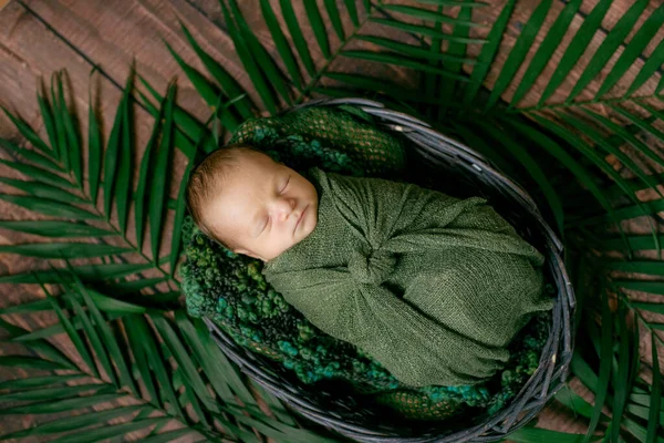 Piccolo Bambino Carino Dorme Cesto Vimini Viti Decorate Con Foglie — Foto Stock