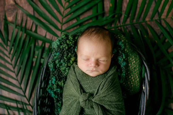 Kleine Schattige Baby Slaapt Een Rieten Mand Van Wijnstokken Versierd — Stockfoto