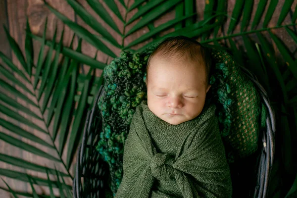 Kleine Schattige Baby Slaapt Een Rieten Mand Van Wijnstokken Versierd — Stockfoto