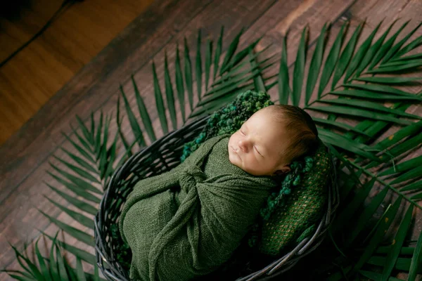 Malé Roztomilé Děťátko Spí Proutěném Koši Révy Zdobené Zelenými Palmovými — Stock fotografie