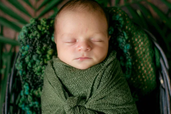 Little Cute Baby Sleeps Wicker Basket Vines Decorated Green Palm — Stock Photo, Image