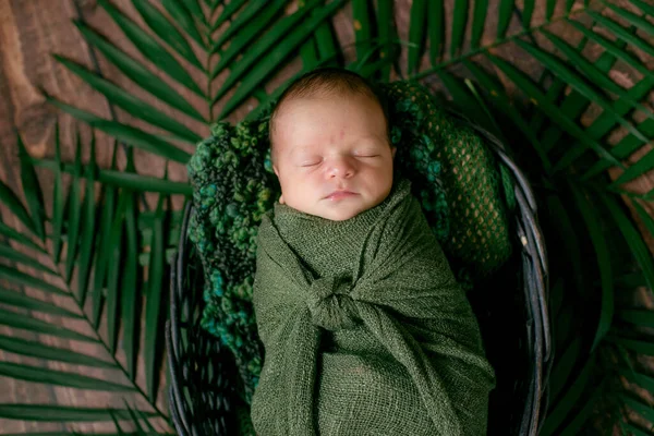 Kleine Schattige Baby Slaapt Een Rieten Mand Van Wijnstokken Versierd — Stockfoto