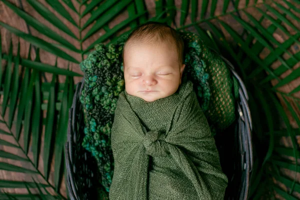 Pequeno Bebê Bonito Dorme Uma Cesta Vime Videiras Decoradas Com — Fotografia de Stock