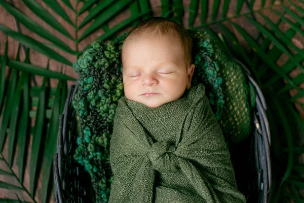 Petit Bébé Mignon Dort Dans Panier Osier Vignes Décorées Avec — Photo