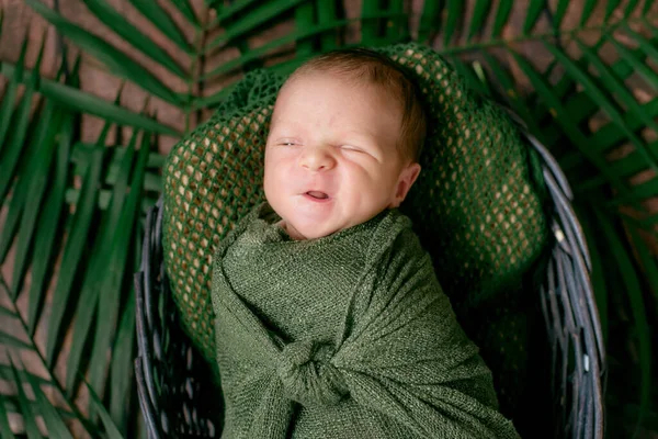 귀여운 아기가 초록색 담요를 야자나무 잎으로 장식된 바구니에서 잡니다 — 스톡 사진