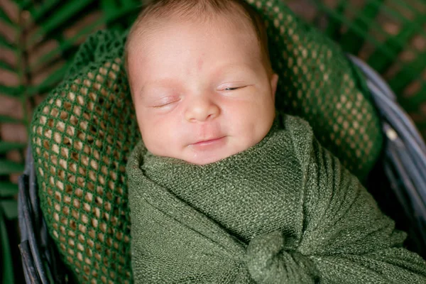 Kleine Schattige Baby Slaapt Een Rieten Mand Van Wijnstokken Versierd — Stockfoto