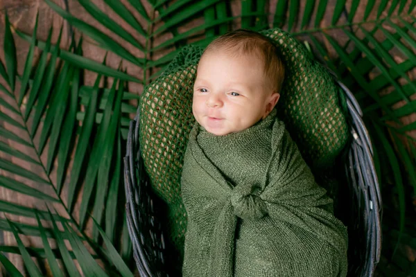 Kleine Schattige Baby Slaapt Een Rieten Mand Van Wijnstokken Versierd — Stockfoto