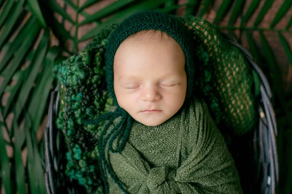 Malé Roztomilé Děťátko Spí Proutěném Koši Révy Zdobené Zelenými Palmovými — Stock fotografie