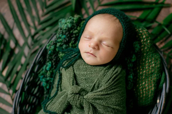 Little Cute Baby Sleeps Wicker Basket Vines Decorated Green Palm — Stock Photo, Image