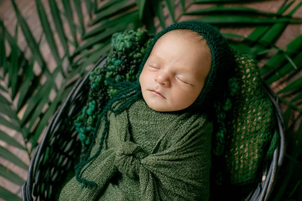 Kleine Schattige Baby Slaapt Een Rieten Mand Van Wijnstokken Versierd — Stockfoto