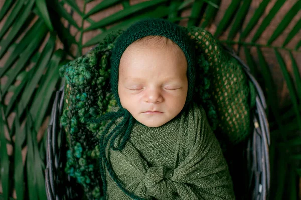 Kleine Schattige Baby Slaapt Een Rieten Mand Van Wijnstokken Versierd — Stockfoto