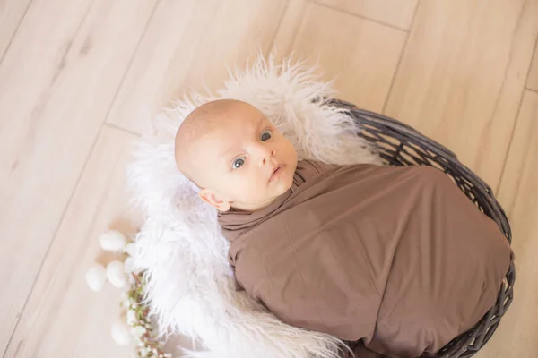 Petit Garçon Mignon Trouve Dans Panier Vignes Décorées Avec Des — Photo