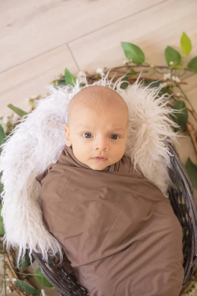 Little Cute Baby Boy Lies Basket Vines Decorated Green Flowering — Stock Photo, Image