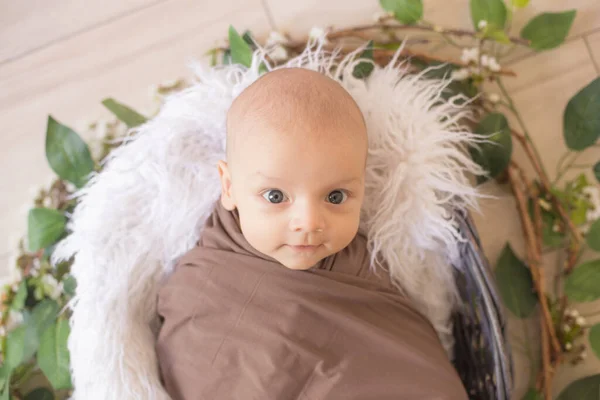 Pequeño Bebé Lindo Encuentra Una Cesta Vides Decoradas Con Ramas — Foto de Stock